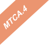MTCA.4